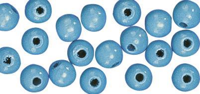 Perle lesene, pološčene, 10mm, svetlo modre, 52 kosov