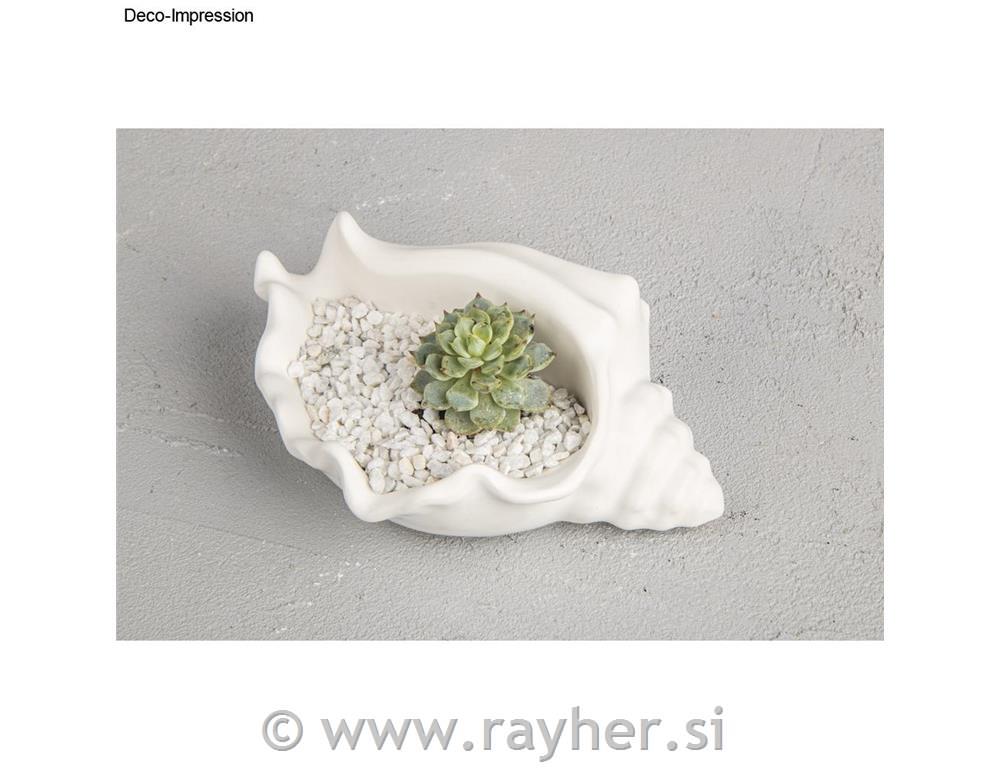 Silikonski kalup Dekorativna skleda školjka