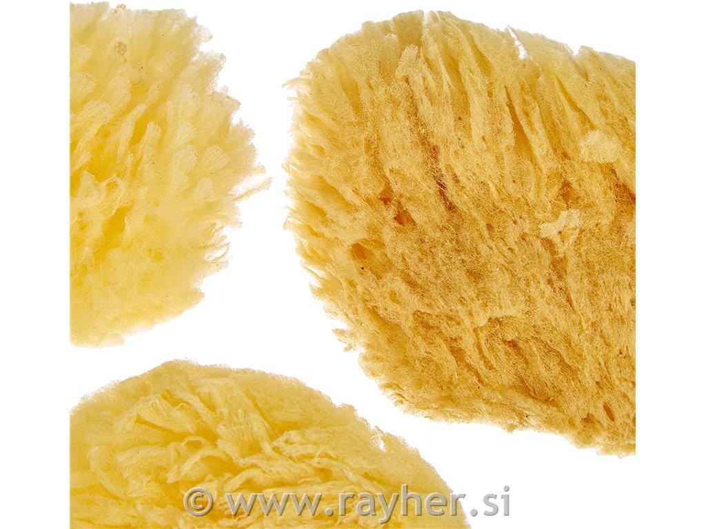 Gobica, 6-7,5 cm, 3 kosi