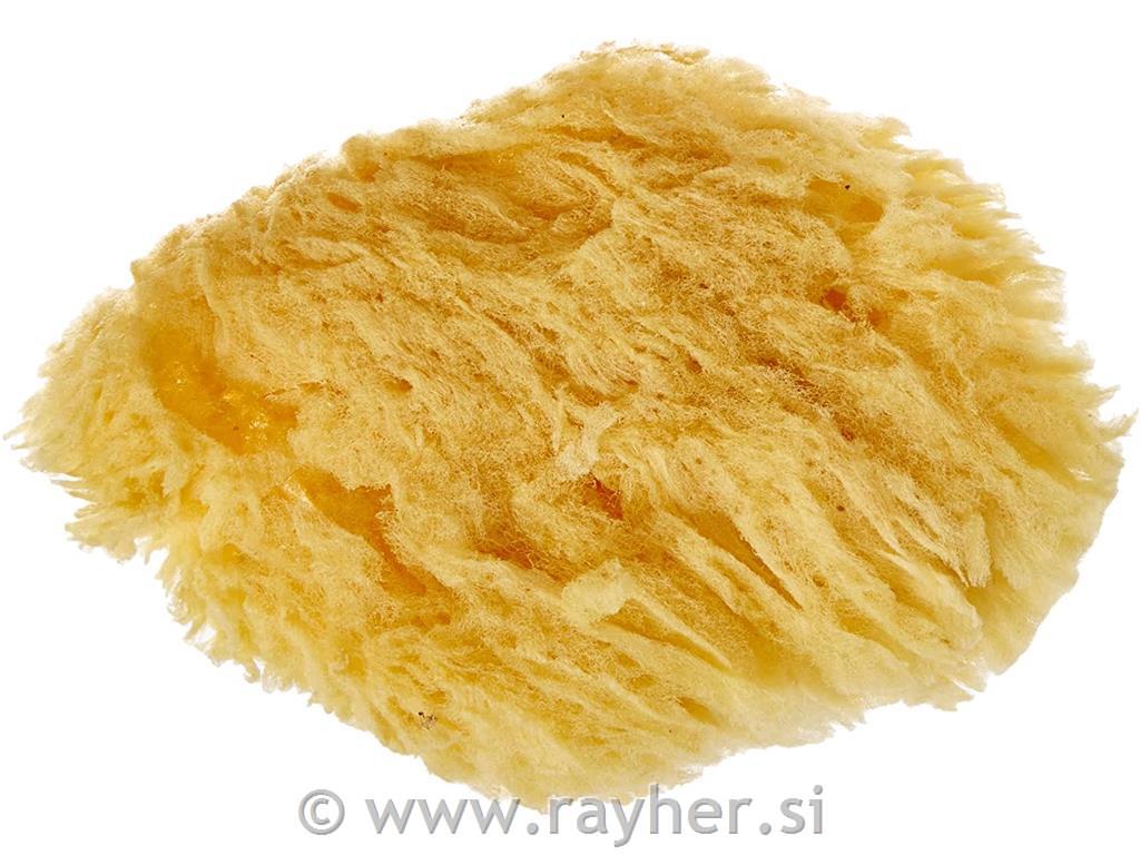 Gobica, 6-7,5 cm, 3 kosi