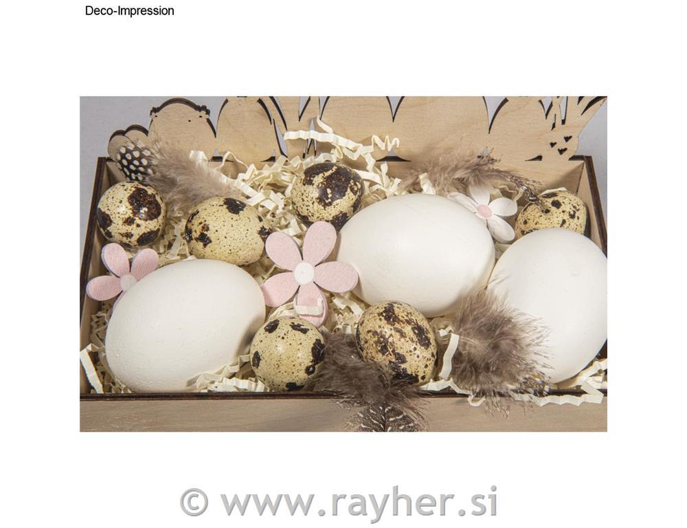 Prepeličja jajca, votla, 2,5x3 cm, set 12