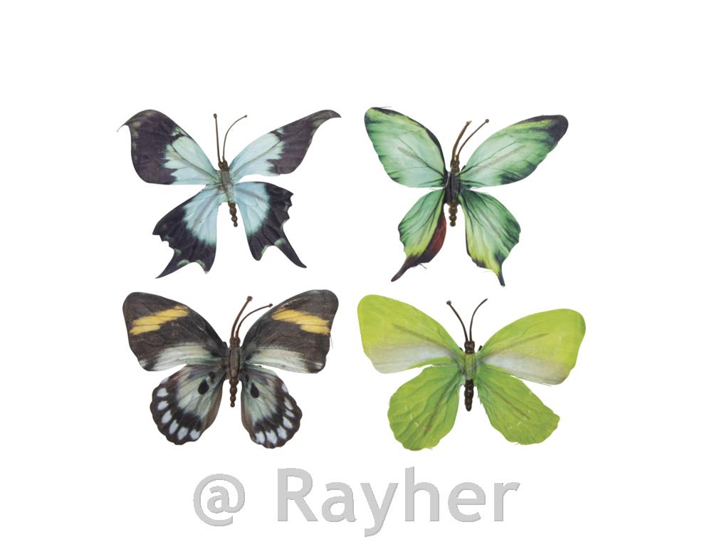 Metulji 3D, tekstil, set 4, zeleni