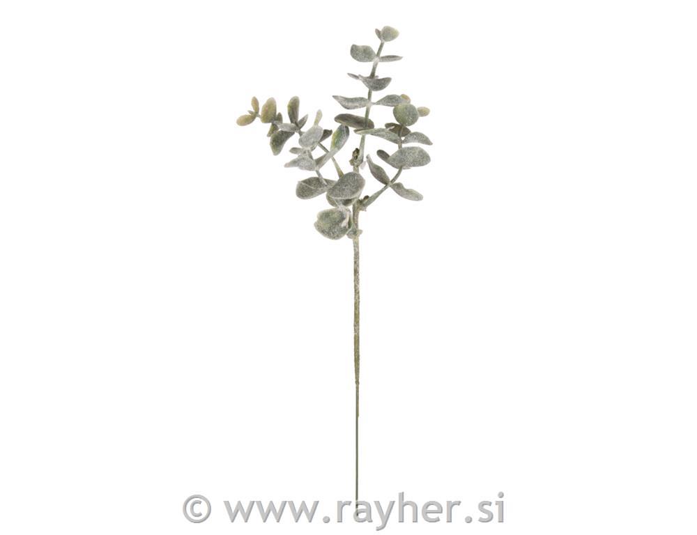 Frosted book-twig, 20cm