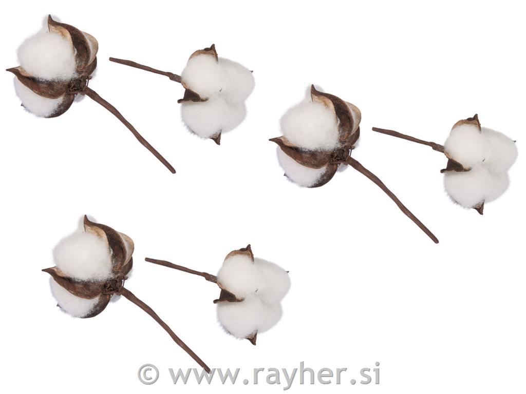 Cotton flower, 6cm o, 10cm, PVC box 6pcs