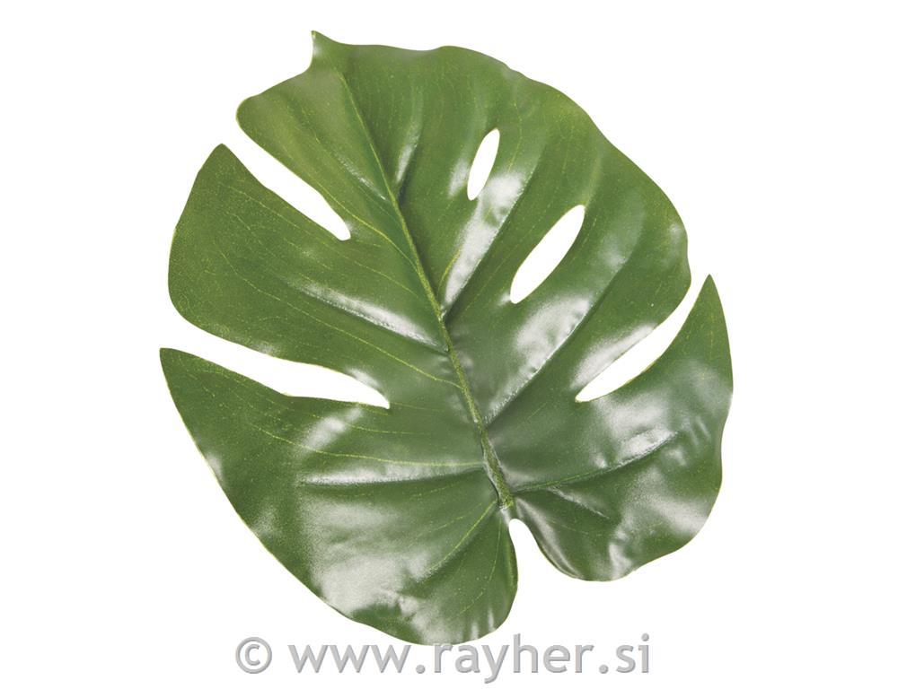Listi Monstera, 14x16cm, 2 kosa