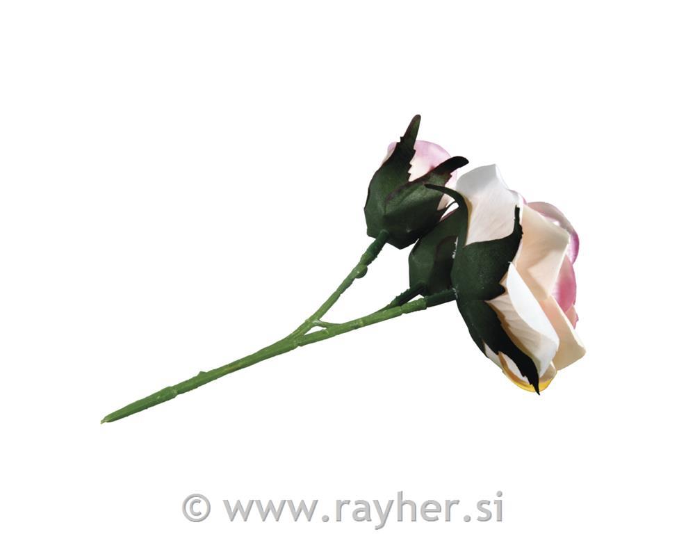 Vrtnica, roza, 15cm, trije cvetovi