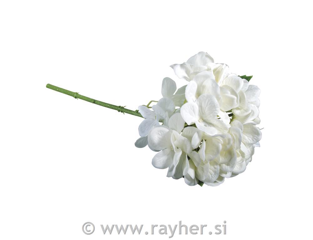 Hortenzija, bela, 33cm