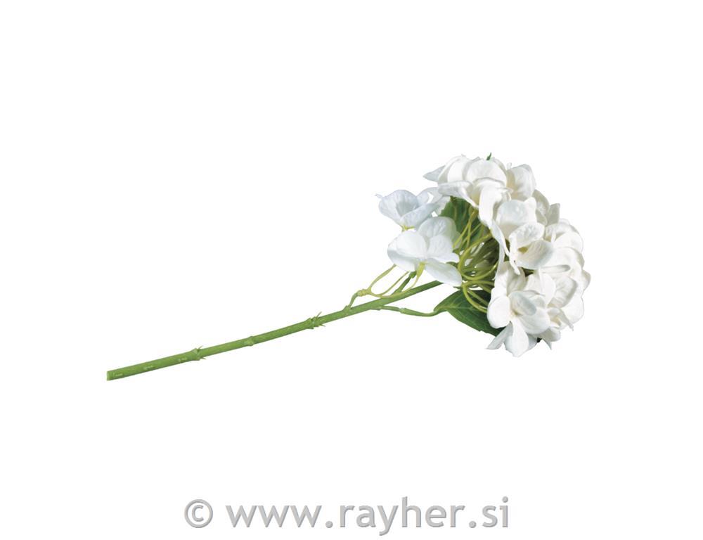 Hortenzija, bela, 33cm