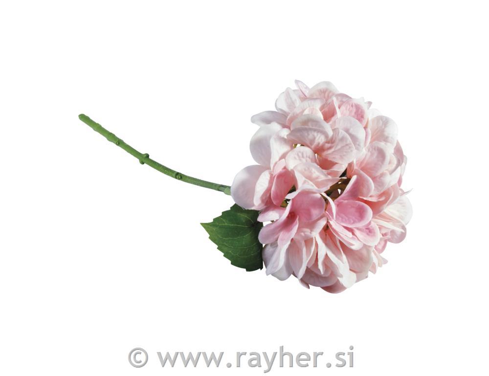 Hortenzija, sv.roza, 33cm
