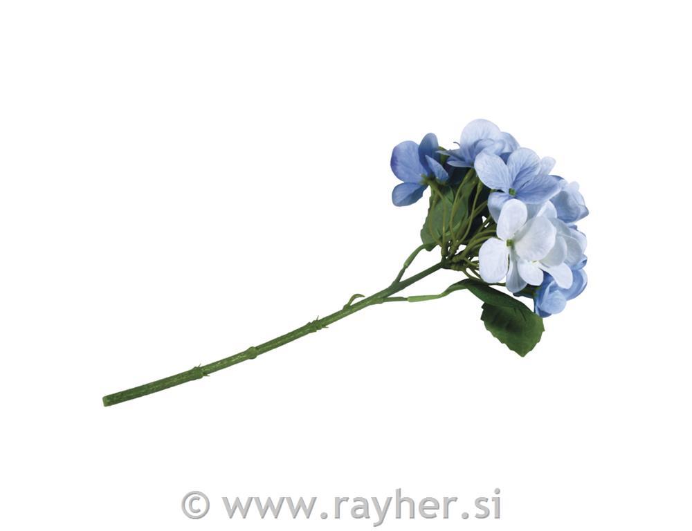 Hortenzija, sv.modra, 33cm
