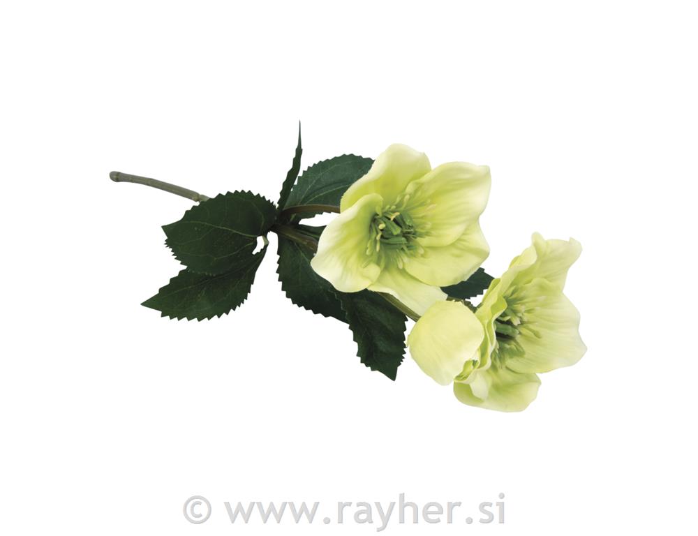 Teloh 35 cm zeleno rumen