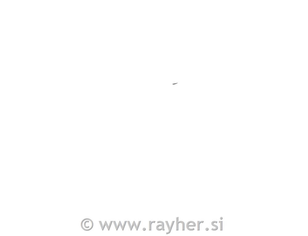 Blazinica za embossing Distress Ink