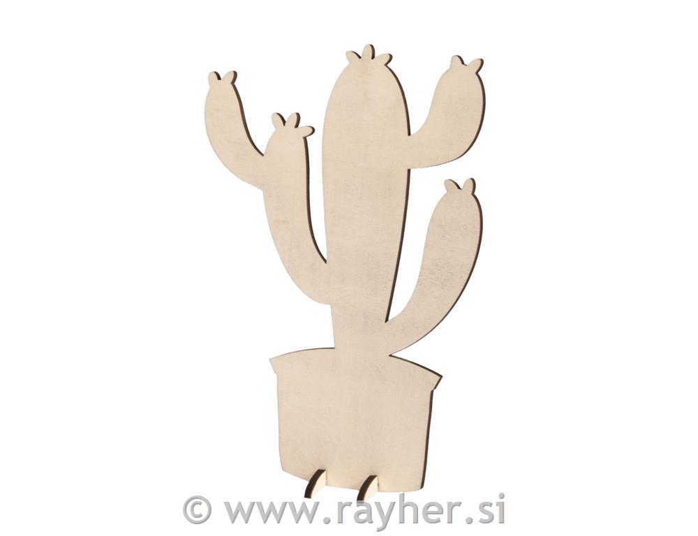 Lesen kaktus, 14.3x21.2cm