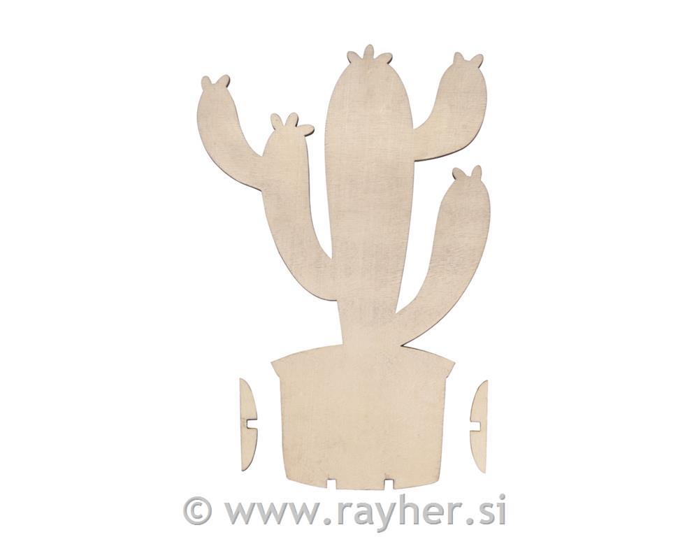 Lesen kaktus, 14.3x21.2cm