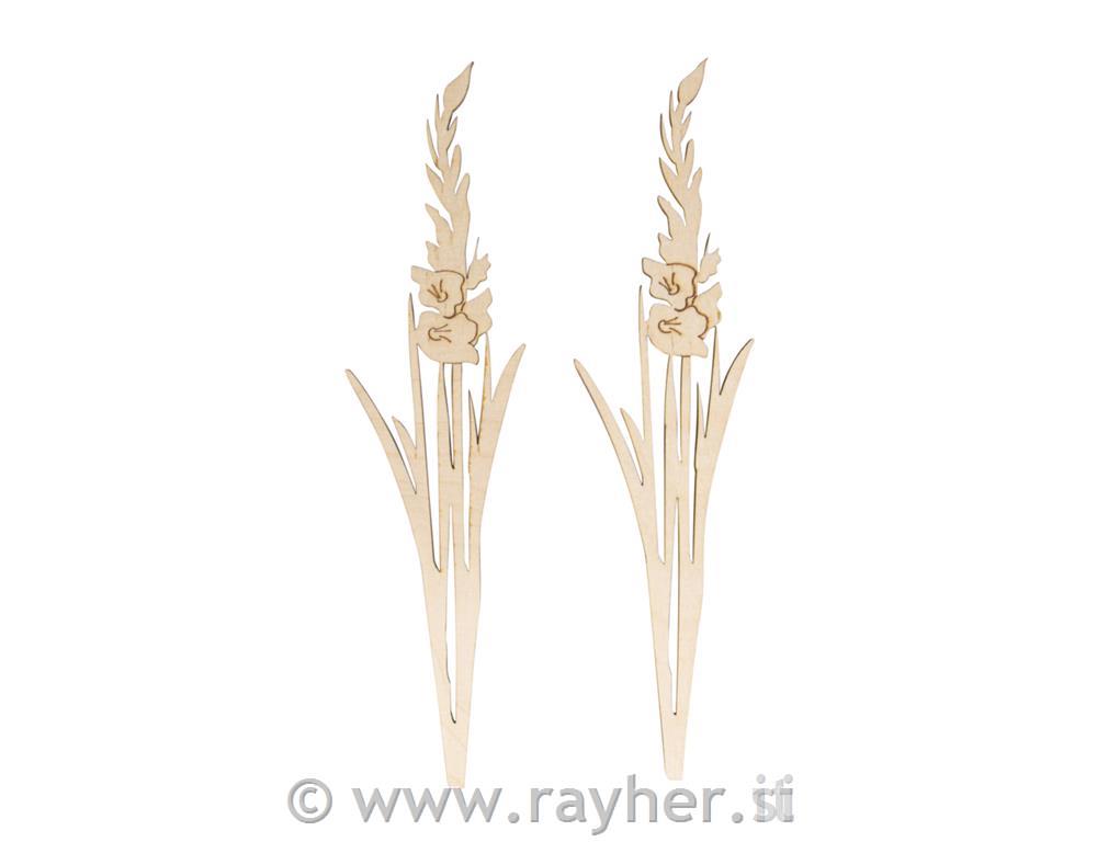 Leseni okras, Gladiole, 20cm, set 2