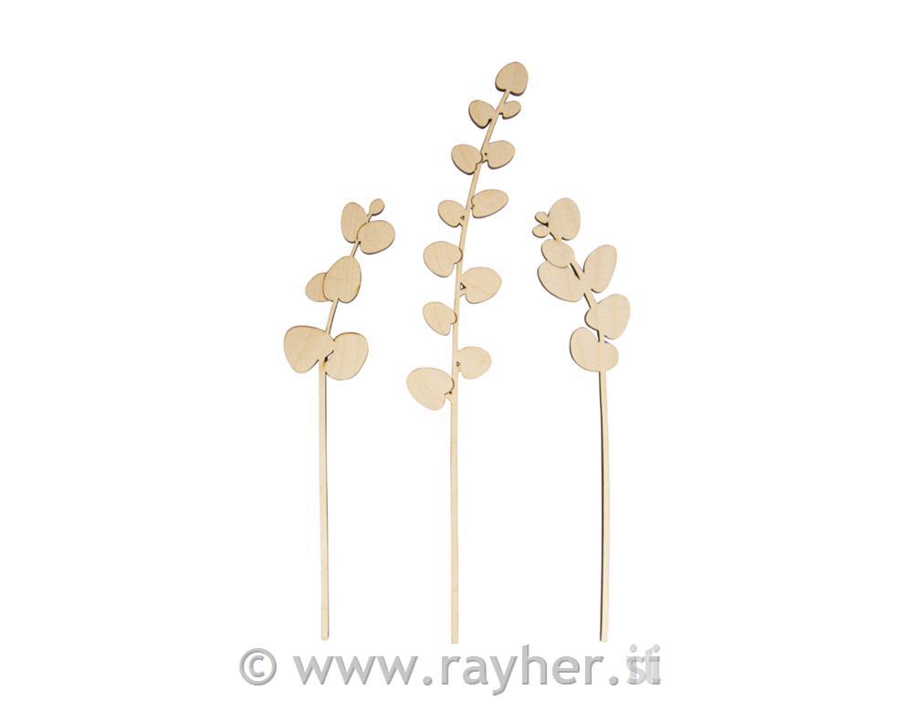 Leseni okras, Evkaliptus, 22+33cm, set 3