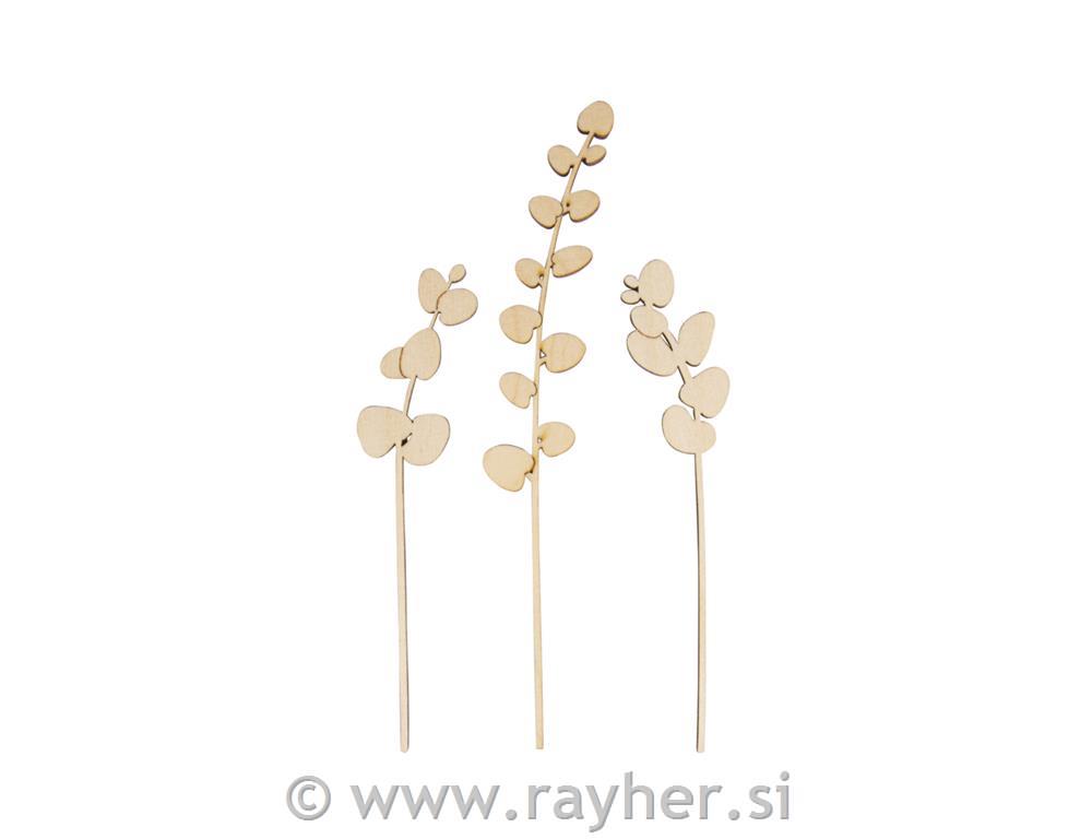 Leseni okras, Evkaliptus, 15+20cm, set 3