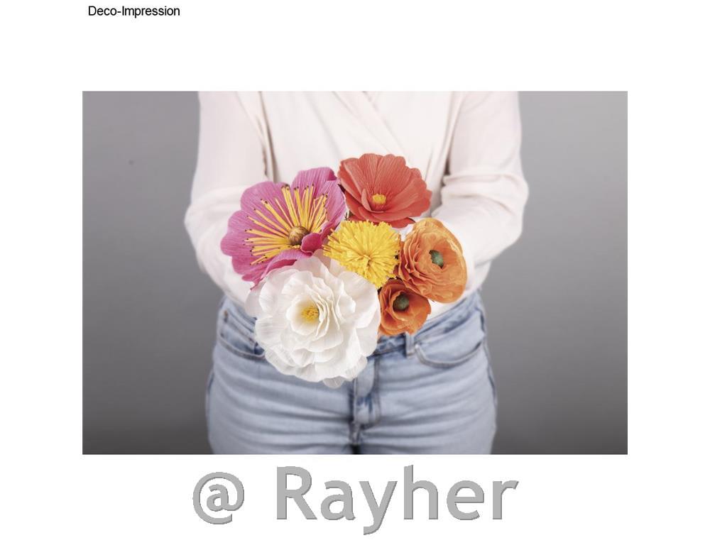 Set za izdelavo rož iz krep papirja, pastelne barve, 105 g/m