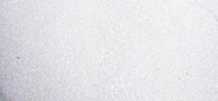 Pompons, white, 7 mm, tab-bag 70 pcs.