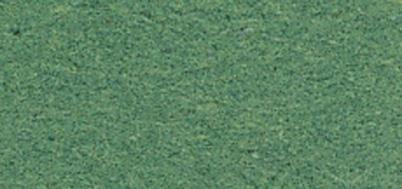 Fotokarton, zimzelen, 50x70cm, 300g/m2