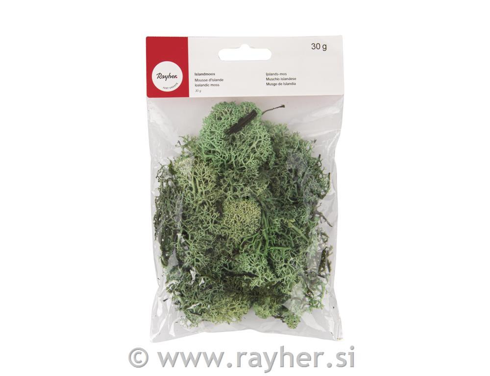 Icelandic moss, light green, tab-bag 30