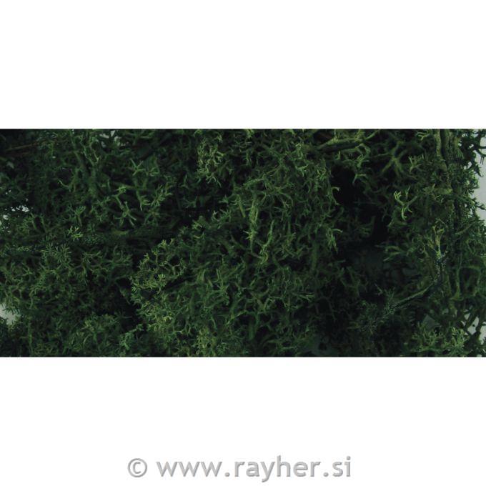 Mah islandski, temno zelen, 30 g