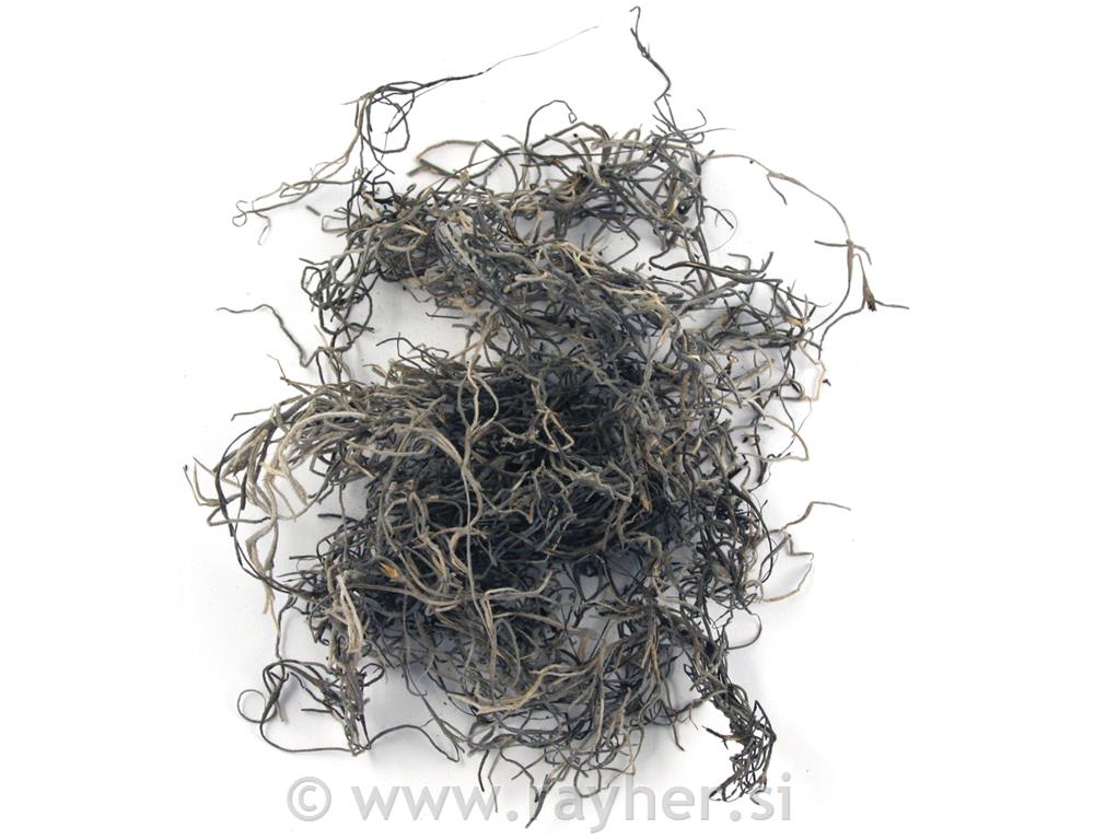 Mah, divji gozd, naraven, 20 g