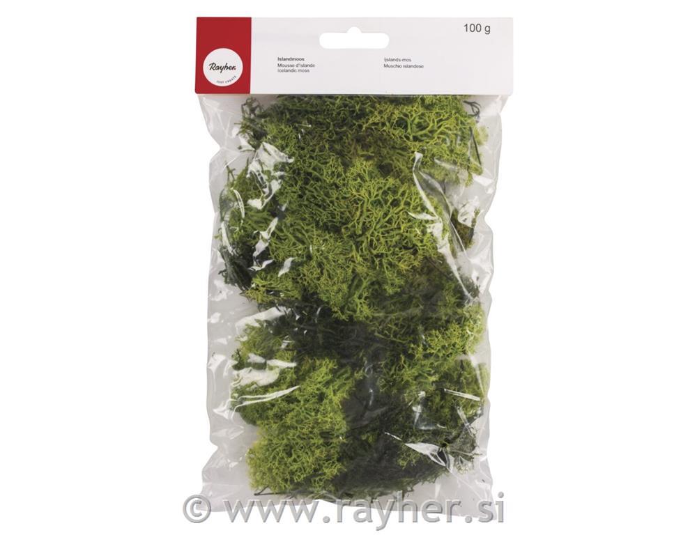Icelandic moss, light green, tab-bag 100