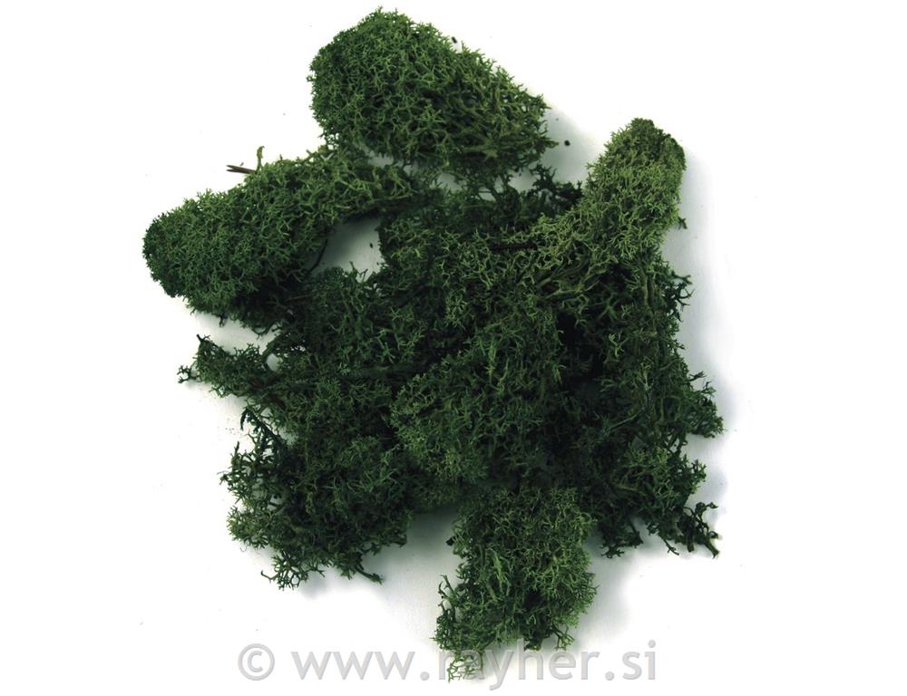 Mah islandski, temno zelen, 100 g