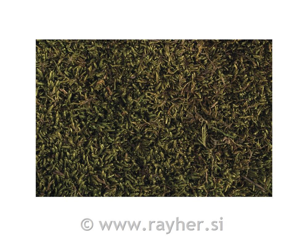 Mah, posušene zaplate, 100 g