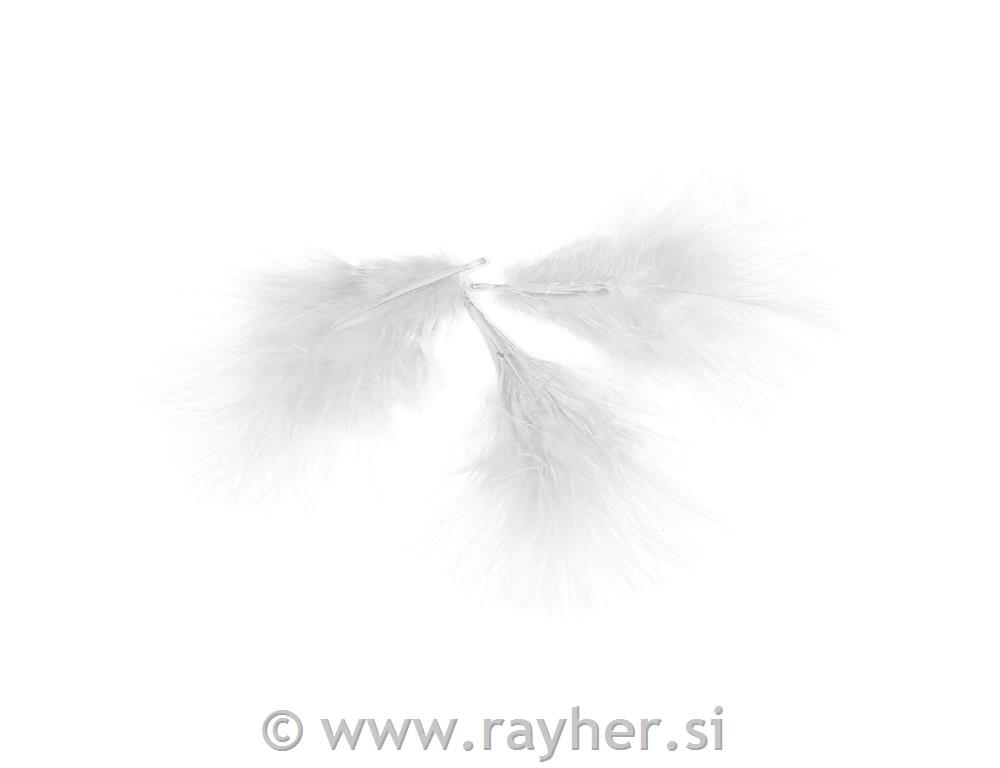 Perje dekorativno, belo, 8 cm, 10 kom.
