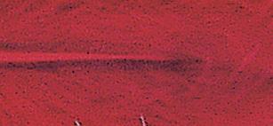 Perje dekorativno, rdeče, 8 cm, 10 kom.