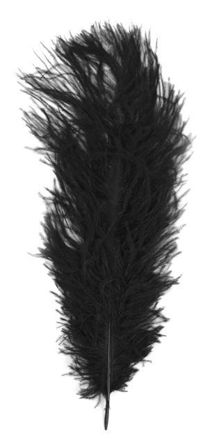 Ostrich´s feathers, black, 30 cm, tab-ba