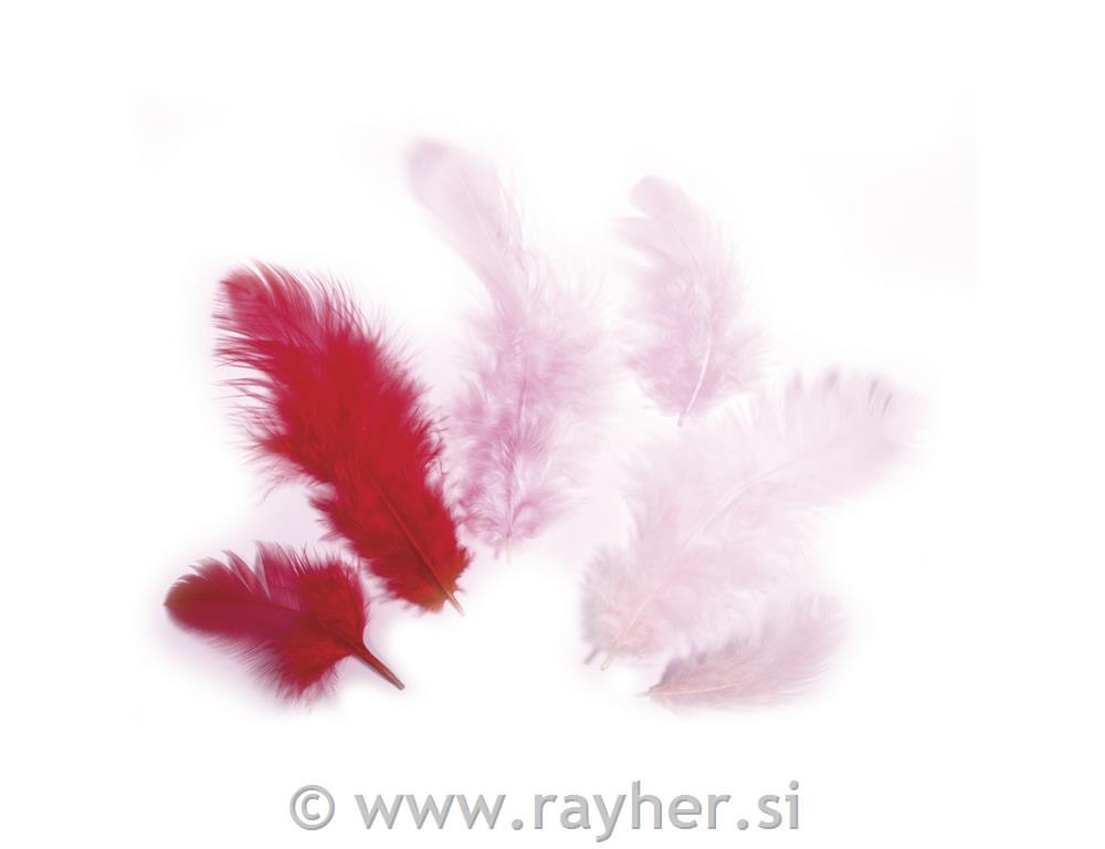 Combination of feathers, red colours, 3-