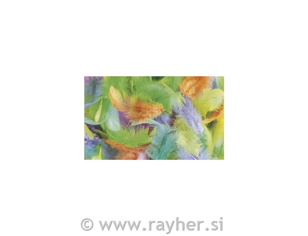 Combination of feathers, 6 colours, 3-10