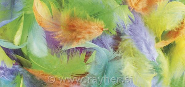Combination of feathers, 6 colours, 3-10
