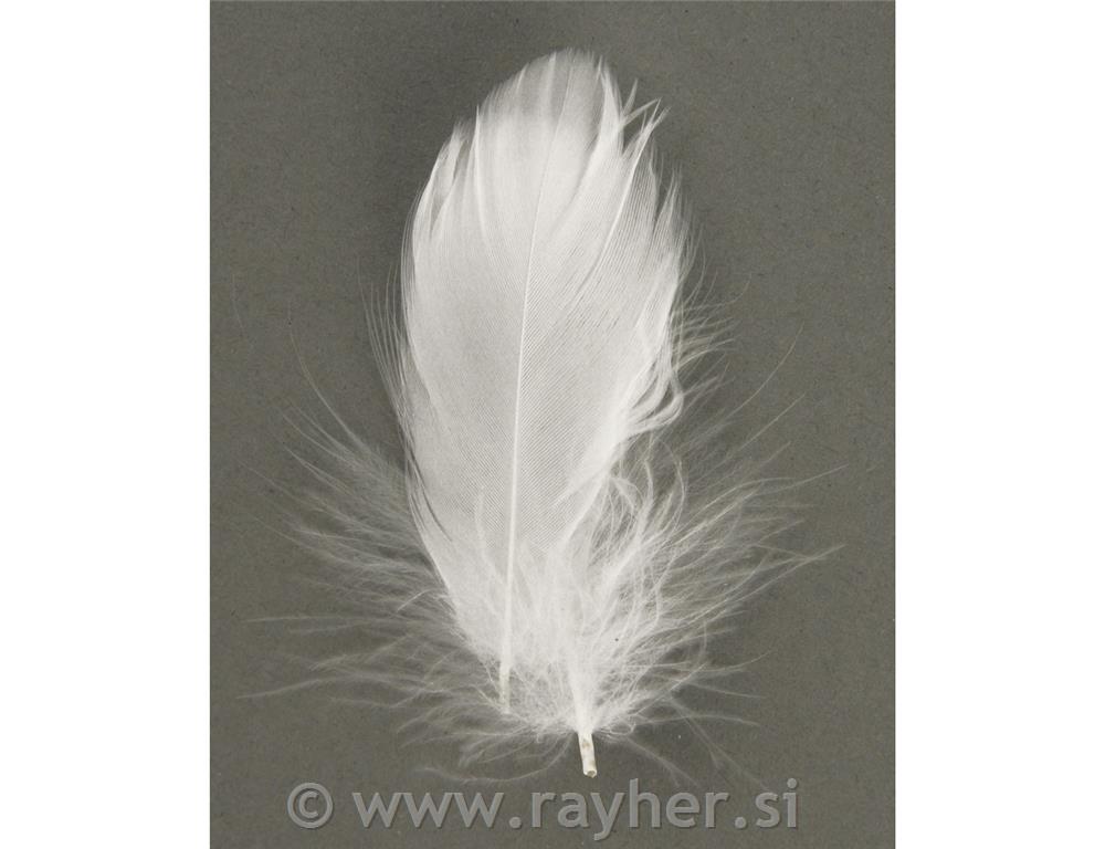 Perje dekorativno, belo, 5-10 cm, 5g