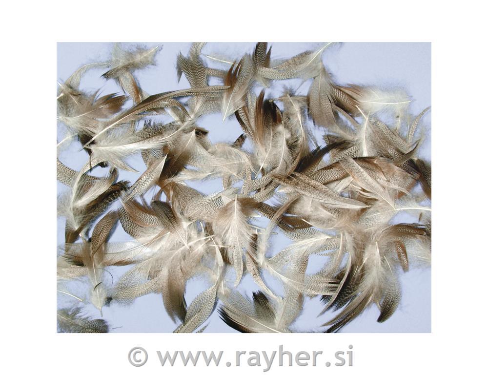 Perje mešano, Pepita, 7-9 cm, 10 g