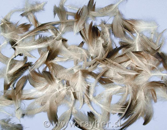 Perje mešano, Pepita, 7-9 cm, 10 g