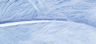 Fluffy feather, light blue, 10-15 cm, ta