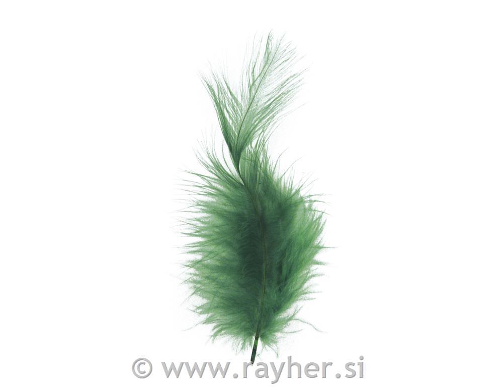 Perje puhasto, temno zeleno, 10-15 cm, 15 kom.