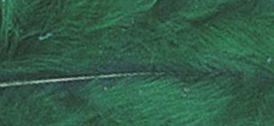 Perje puhasto, temno zeleno, 10-15 cm, 15 kom.