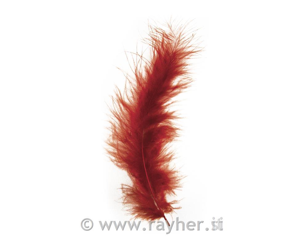 Fluffy feather, reddish-brown, 10-15 cm,