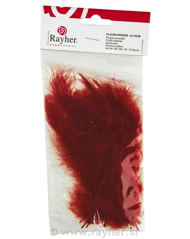 Fluffy feather, reddish-brown, 10-15 cm,