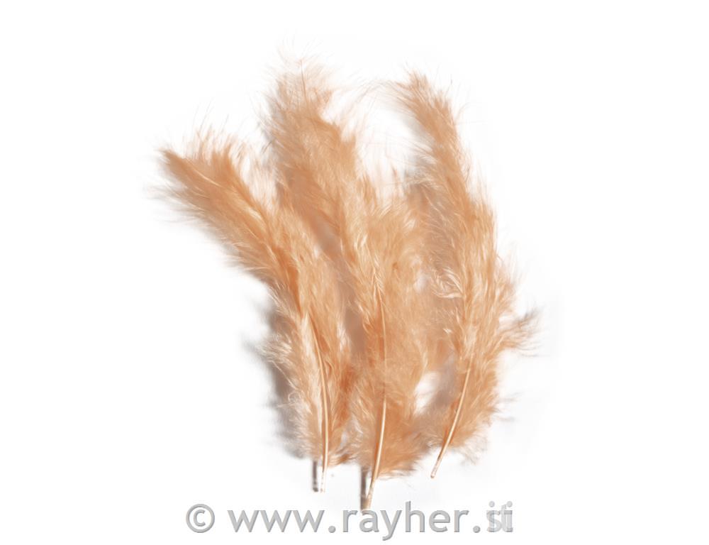 Perje puhasto, marelica, 10-15 cm, 15 kom.