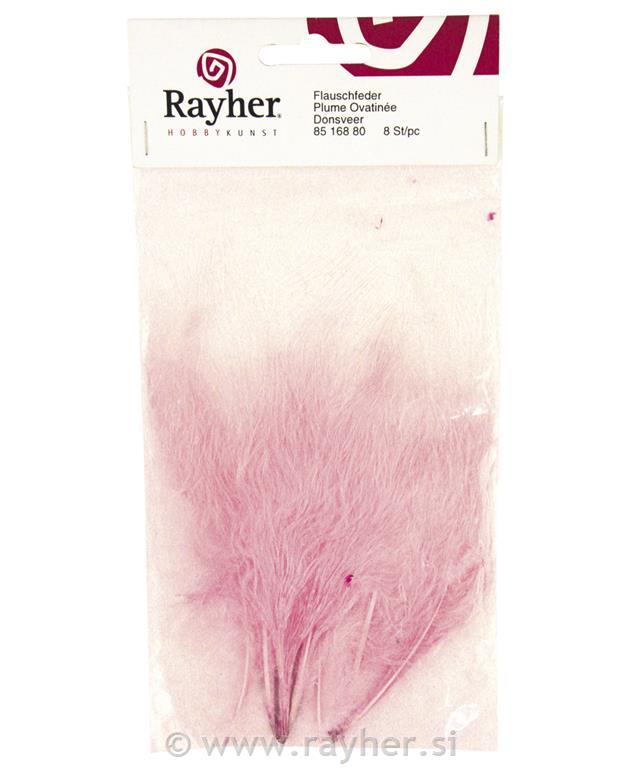 Perje puhasto, marelica, 10-15 cm, 15 kom.