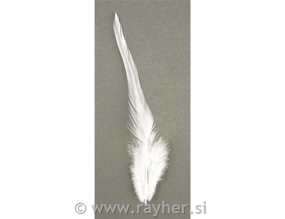 Trendy feather, white, 10-15 cm, tab-bag