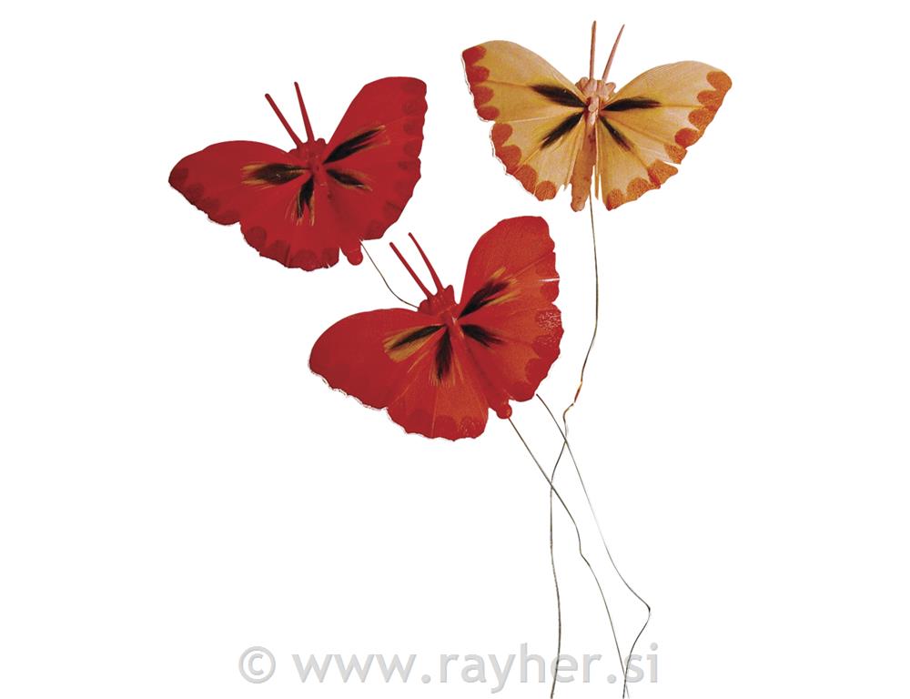 Butterfly of feathers, 2 cm, red colours