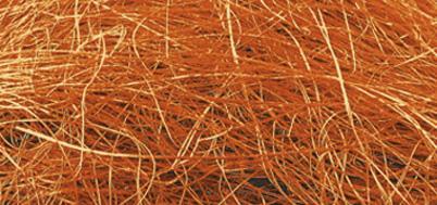 Trava, oranžna, 20 g