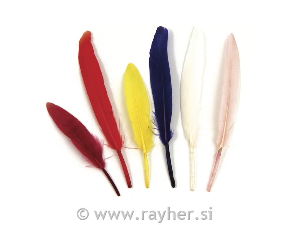 Perje indijansko, mešano, 10,5 cm, 24 kom.